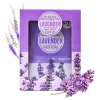 Piedi 4 in 1 Kit per la cura della pelle alla lavanda per i piedi Maschera di fango esfoliante Fai da te Ammollo Crepa Crema per i piedi Ammorbidire Sbiancare Scrub Gelatina Pedicure Set spa