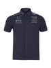 in 2024 the New F1 Racing Suit T-shirt Formula One Short-sleeved Summer Team Drivers Polo Shirt and Quick-drying Clothes Can Be Customized in Size Style.