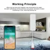 Rilevatore Tuya Smart Zigbee/Wifi Allarme perdite d'acqua Rilevatore di sensori di perdite d'acqua Smart Home Avviso allagamento Sistema di allarme di sicurezza di troppo pieno