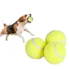 5cm Dog Pet Tennis Interactive Toy Chew Ball Throwing High Bouncy Kids For Supplies Puppy Accesorios y240220