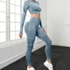 Ensemble de Yoga sans couture, vêtements d'entraînement, de gymnastique, manches longues, haut court, Leggings taille haute, combinaisons de sport, Fitness, 240226