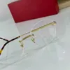 Monture de lunettes 2023 haute qualité nouvelle monture de lunettes homme affaires Simple pur titane myopie lunettes cadre femme CT0350S