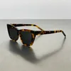 黒いサングラスの男性デザイナーサンガラス原因シンプルな偏光シェードビーチホリデー豪華なサングラスプラスチックフレーム276 Mica PJ020 B4