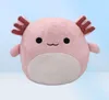 Super schattige pluche poppen speelgoed Kawaii Plushie Fruit Animal Squishy Squishi Squish Mellow Mallow Pillow Knuffeldier speelgoed voor kinderen Ch5151186