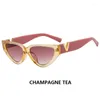 Солнцезащитные очки INS «кошачий глаз» женские 2024 модные треугольные винтажные солнцезащитные очки женские брендовые дизайнерские очки в стиле ретро