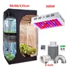 Polyester Film LED WORE KIT 3-teilige Set 2-in-1-Wachstum Box 4inch-Filter-Set 1000W-2000W LED Wachsen für hydroponische Gartenbau-Indoor-Phyto-Blume