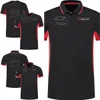 2024 F1 MENS POLO SHIRT T-shirt Formel 1 Driver T-shirt Nytt säsong Team Racing Suit Topps fans Samma avslappnad t-shirt Jersey plus storlek