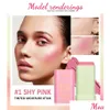 Inne produkty zdrowotne Waterproof Facial B Stick Natural Cheek Rouge 3 kolory jedwabiście gładki odcień krem ​​ber twarz makijaż upusz