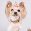 犬の襟のリーシュ犬の襟ひもセット古典的な老視デザイナー文字パターンプリントリーシェスプ革ファッションカジュアル調整dhvyh