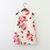 Vestido de diseñador para niñas de verano, vestidos con chaleco rosa con estampado completo, ropa para bebés de estilo americano y europeo