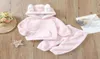 Ensembles de vêtements Bambins filles deux pièces en peluche ensemble de vêtements rose couleur unie à manches longues à capuche et pantalon baby039s Aut6316933