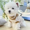 Pulls Pull tricoté pour animaux de compagnie automne hiver moyen petit chien vêtements de noël laine chaude mignon nœud papillon chaton chiot doux pull caniche