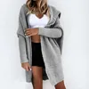 Women's Polos 2024 Autumn/Winter Cardigan One Button Gray Lapel Street Loose Solid Color Thick Needle Sweater