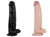 NXY DILDOS MOSS Super Long Women039s Masturbazione MACCHINA GUARGE SPESSA SIMULATO SIMULATO MASSAGGI PUDENDALE PUDENDALE 01246943249