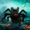 Giyim Pet Kedi Giysileri Köpek Cadılar Bayramı Kostümü Disfraz De Para Perros Kostümleri Küçük Cosplay Bat Wings Roupa Para Gato Komik