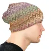 Bérets Boho Vintage Contemporain Bonnet Bonnet Chapeau Hommes Hip Hop Unisexe Adulte Multicolore Moderne Hiver Chaud Skullies Bonnets Casquettes