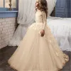 Abiti fantasia fiore bambina vestito bambino maniche lunghe farfalla rosa abiti da ballo in rete bambini abiti da comunione 114 anni