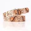 Belts 2024 Fashion Designer Leather Belt Woman Leopard Snake Print Waist For Women Female Cinto Feminino