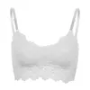 Camisoles Réservoirs Femmes Lingerie Creux Camisole Dentelle Florale Bralette Push Up Soutien-Gorge Rembourré Débardeurs Sexy Haut Court