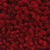 Fiori decorativi Multi dimensioni Fiore artificiale Parete Rosa di seta rossa utilizzata per il matrimonio
