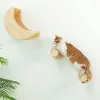 Arranhadores de parede para gatos, conjunto de prateleiras de madeira para escalada, rede com escada ou poste para arranhar, móveis para animais de estimação para gatinhos brincando e dormindo