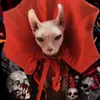 Hundebekleidung Clown COS Haustierkostüm Hunde Katze Halloween-Verkleidung Geeignet für kleine und große Haustiere Niedliche Perücke Partyzubehör Zubehör