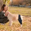 Hondenkleding Uitgebreide beschermingsoplossing Lange versie Dijmouw voor huisdieren om botletsels te voorkomen met zacht, zacht materiaal