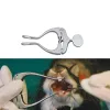 Instrumenty Pet Cat Rabbit Rabbit szczur Mysz Chomika otwieracz do usta policzkowy rozszerzający Drut Wnęk Spekulum Materiały dentystyczne