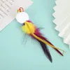 Colorful Hanging Feather Accessories for Automatic Rolling Cat Sticks Teaser Toys 240226