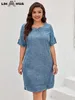 Lih Hua Womens Plus Size Denim Dress Summer Chic Elegant Dress for Chubby Womens Woven Cotton Dress 240219