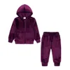 2 stuks kinderen jongens meisjes fluwelen hoodies outfits peuter baby winter lange mouw sweatshirt sweatpant trainingspak kinderkleding set 240226