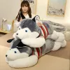 Cushions New Arrive 50/70/100/120cm Cute Soft Kawaii Giant Husky Plush Toys Dog Stuffed Doll Animals For Boy Girlfriend Gift Home Decor