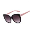 نظارة شمسية كبيرة الحجم إطار Cat Eye Women مصمم العلامة التجارية للأشعة فوق البنفسجية طلاء Pink Hirrored Faminino