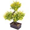 Flores decorativas artificial vaso planta livro prateleiras decorações falso bonsai pinheiro plantas estátua ornamentos de plástico falso verde escritório vegetação