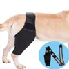 Vêtements pour chiens Solution de protection étendue Version longue Manche de cuisse pour animaux de compagnie pour prévenir les blessures osseuses avec un matériau doux et doux