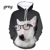 Erkek Hoodies Sweatshirt 3D Baskı Külot Köpek severler Erkekler/Kadınlar Sonbahar Kış Spor Giyim Erkekler Giyim