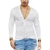 Heren Plain Slim Fitness Lange Mouw T-shirt Diepe V-hals Button Tops Spier Tee Blouse Zien Door Shirts mannelijke Casual Tees 240219