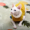 Devon Rex Thickening Plush Cat Cat Sweater Costume sphynix Cloths Katten Sphynx Pullover Clothing Products for Winter Outwear 240219