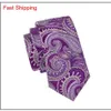 Klassieke Zijden Heren Stropdassen Paarse Stropdas Sets Paisley Heren Stropdas Hanky Manchetknopen Jacquard Geweven Vergadering Zakelijk Bruiloft 2795