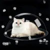 Spielzeug Acrylhemisphärische Abdeckung Katzenkletterrahmenzubehör Raumkapsel transparentes Katzennest DIY Materials Katze Spielzeug für Spielzeug Grabplatte