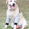 Accessories Pet Support Elbow Dog Elbow Brace Sleeves Pads Protector Soft Breathable Pain Relief Shoulder for Canine Elbow Dog Supplies