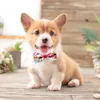 Cão vestuário gato bowtie ajustável confortável laço pet suprimentos para decoração de páscoa acessórios bonitos