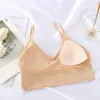 BRAS 2024 Femmes Sexy Soutien-gorge Tube Top Beauté Dos Bralette Sans Couture Sport Sous-Vêtements Pour Femmes Push Up Lingerie