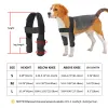 Aksesuarlar Köpek Bacak Brace Pet Bacak Destek Malzemeleri Köpek Bacak Koruyucu Köpekler Kurtarma Kılı