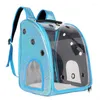 Portadores de gato cão de estimação portátil saco de transporte de viagem bagagem mochila sacos para cães acessórios suprimentos