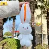 Cushions Strawberry Rabbit Plush Toy Flip Carrot to Bunny Cosplay Pillow Cute Stuffed Lop Ear Rabbit Animal Persimmon Pig Plushie Doll