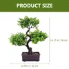 Flores decorativas artificial vaso planta livro prateleiras decorações falso bonsai pinheiro plantas estátua ornamentos de plástico falso verde escritório vegetação