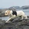 Jaquetas macacões para cães capa de chuva primavera outono jaqueta para cães à prova dwaterproof água roupas para cães médios grandes quatro patas roupas para cães