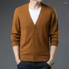 Men's Sweaters Mens Wool Knitwear Autumn & Winter Thick Cashmere Cardigan Male Single Breasted Pure Sweater V-Neck Warm Knit Coat