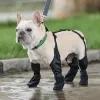 Scarpe con stivale da bootie da neve calzino stivale booties non slip impermeabile e trassolante per piccoli e grandi cani